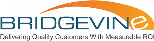 Bridgevin Logo