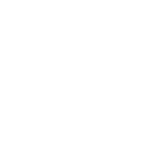 Multi-lingual elite workforce at Vixicom